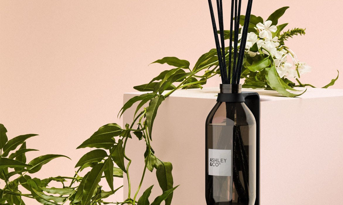 The Art of Aromatherapy — How Scent Shapes Emotion and Space