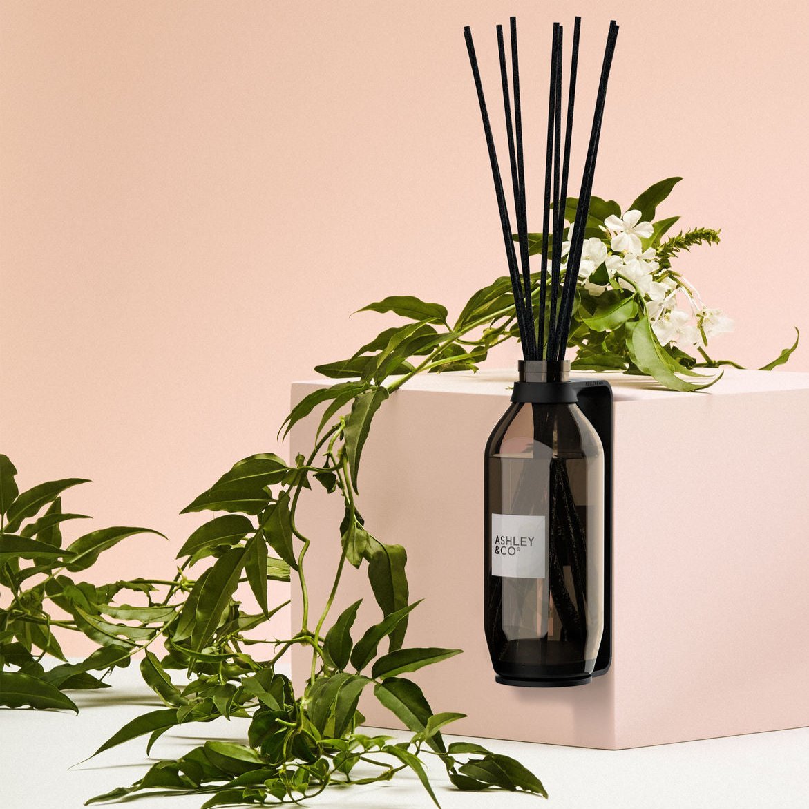 The Art of Aromatherapy — How Scent Shapes Emotion and Space