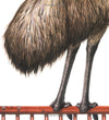 EDWARD THE EMU