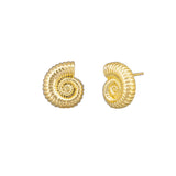Gold Sundial Shell Earring