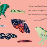 Wise Words From David Attenborough