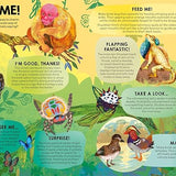 The Sun Is Not Yellow And Other Colourful Facts