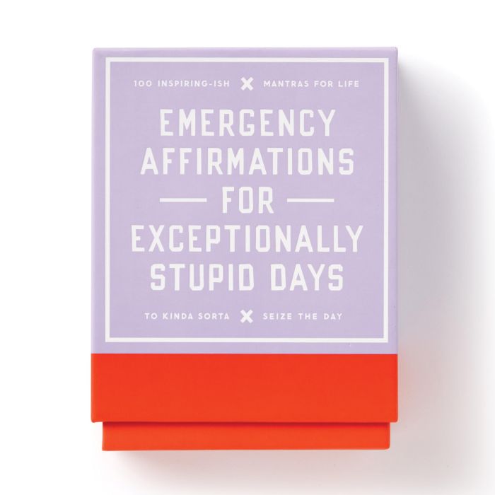 EMERGENCY AFFIRMATIONS FOR EXCEPTIONAL STUPID DAYS