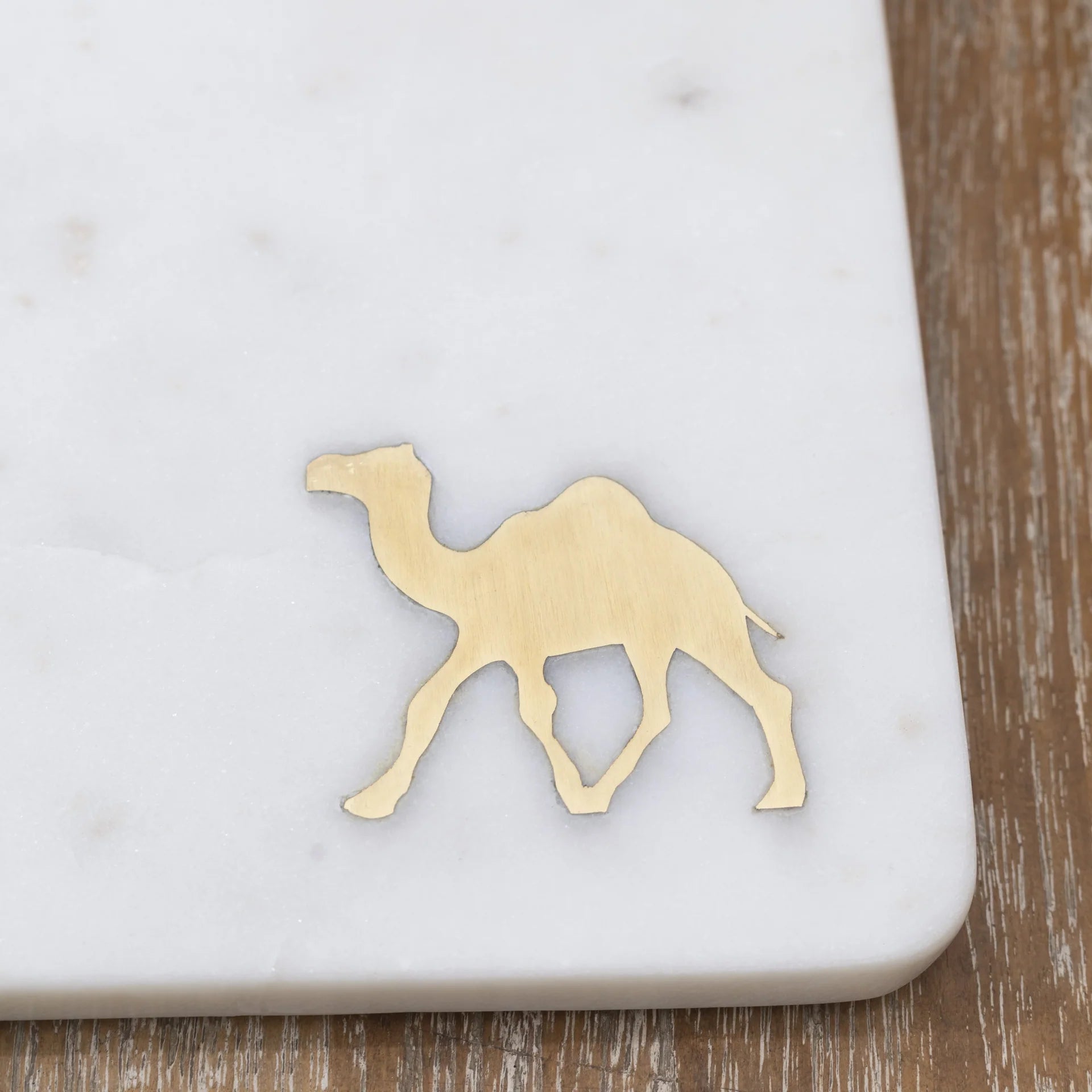 The Camel Cheese Board