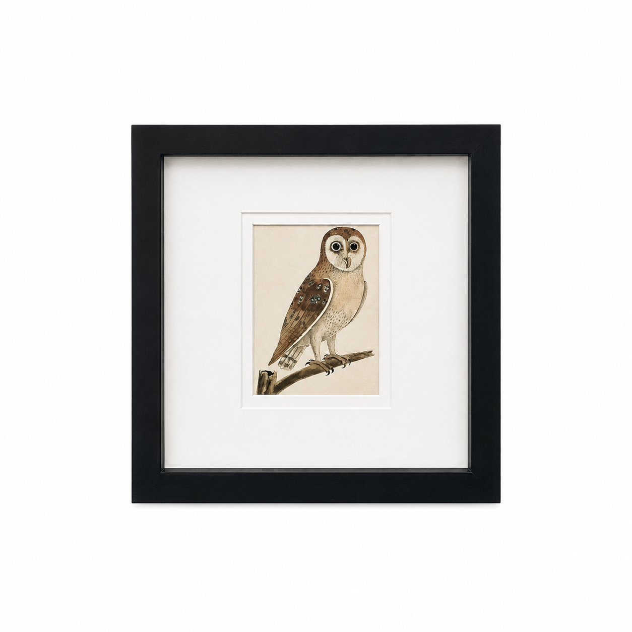 The Little Owl Print | Vintage Framed Owl Print