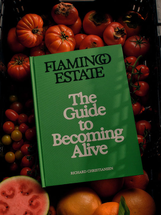 THE GUIDE TO BECOMING ALIVE