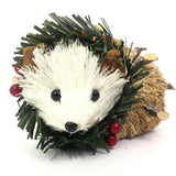 Bristlestraw Hedgehog
