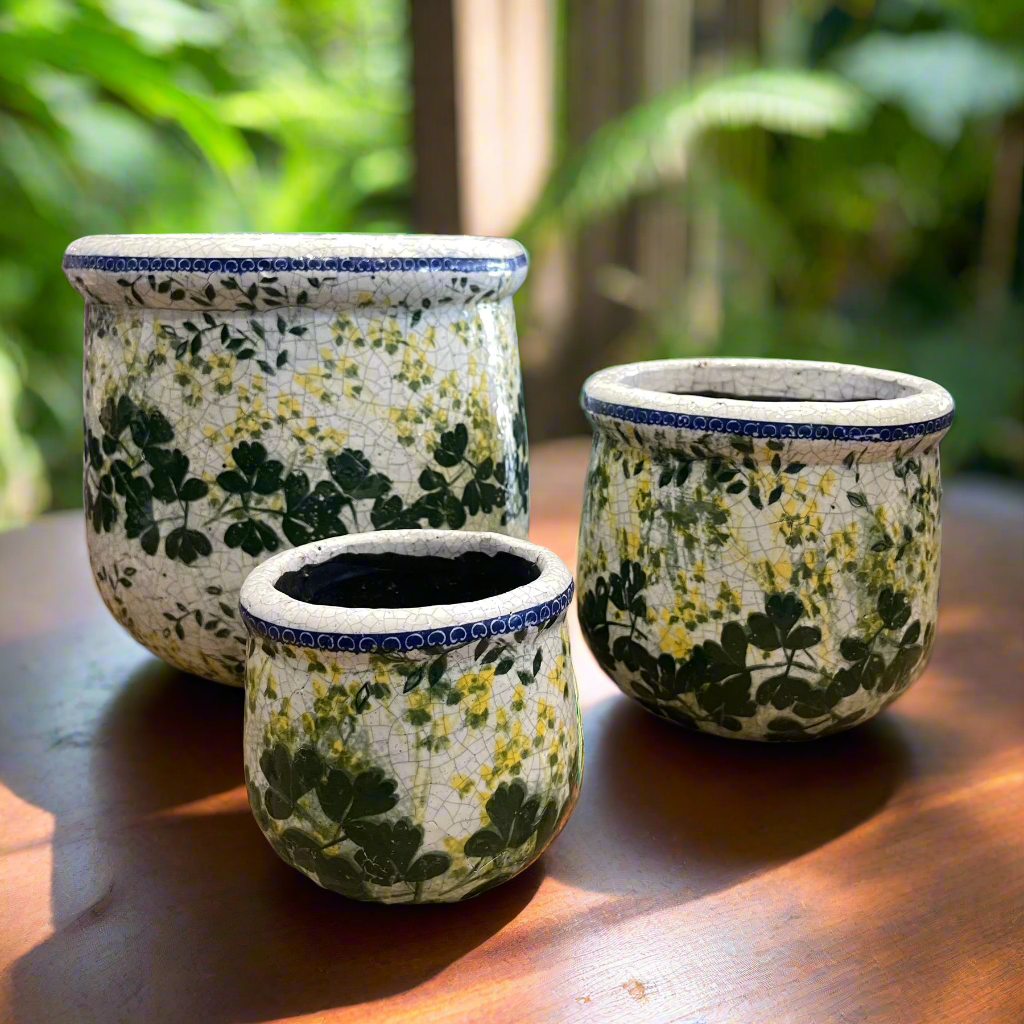 IVY CERAMIC POTS