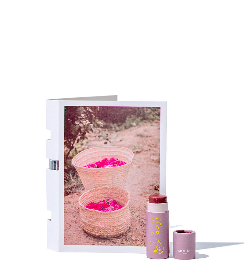 Tinted Island Rose Lipbalm 5g