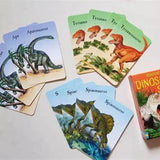 Dinosaur Snap Cards