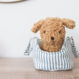 Toffee the Puppy & Carrier