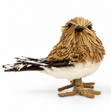 Bristlestraw Robin - Male