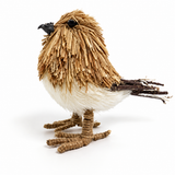 Bristlestraw Robin - Male