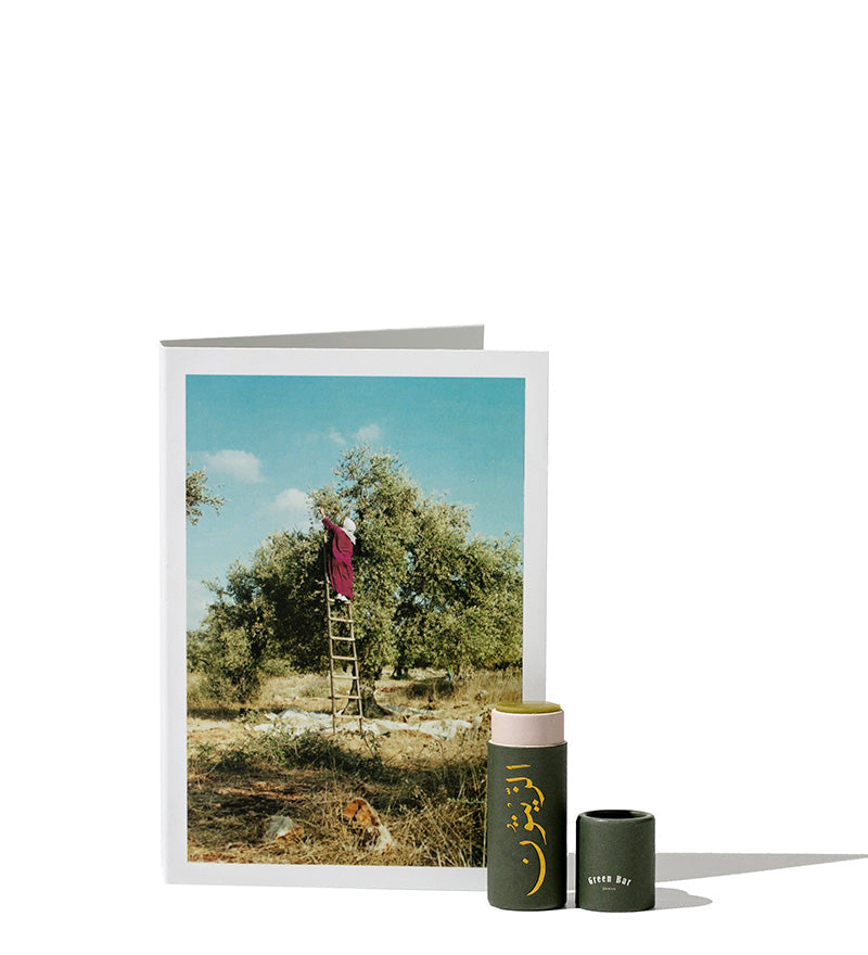 Sweet Olive Lipbalm 5g