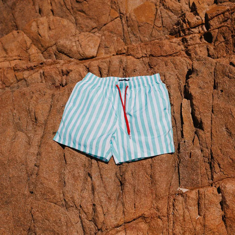 Mint Flare Swim Shorts - L