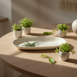 Large Oval Platter Palms - White1