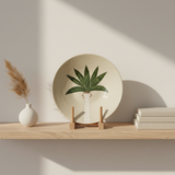 Medium Plate Palms - Green