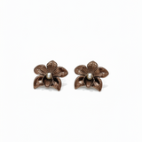 Desert Orchid Earrings