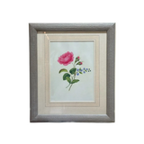 The Wild Rose Botanical Print | Vintage Botanical Print Circa 1950s