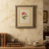 The Wild Rose Botanical Print | Vintage Botanical Print Circa 1950s