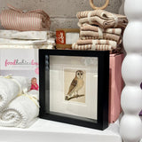 The Little Owl Print | Vintage Framed Owl Print