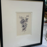 Vintage Prints - Framed in Hand-Painted Black Wooden