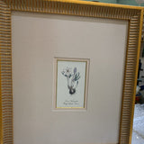 French Antique Botanical Artwork