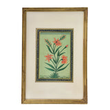 The Indian Bloom Painting I | Original Indian Painting in French Antique Frame