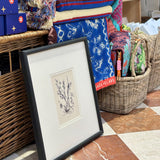 Vintage Prints Framed in Hand-Painted Black Wood - II