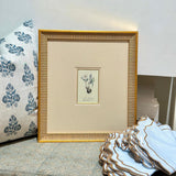 French Antique Botanical Artwork