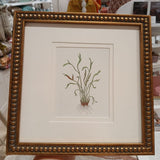 The Sedge Botanical Print | Vintage French Botanical Print Circa 1940s