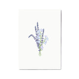 Card - Posy