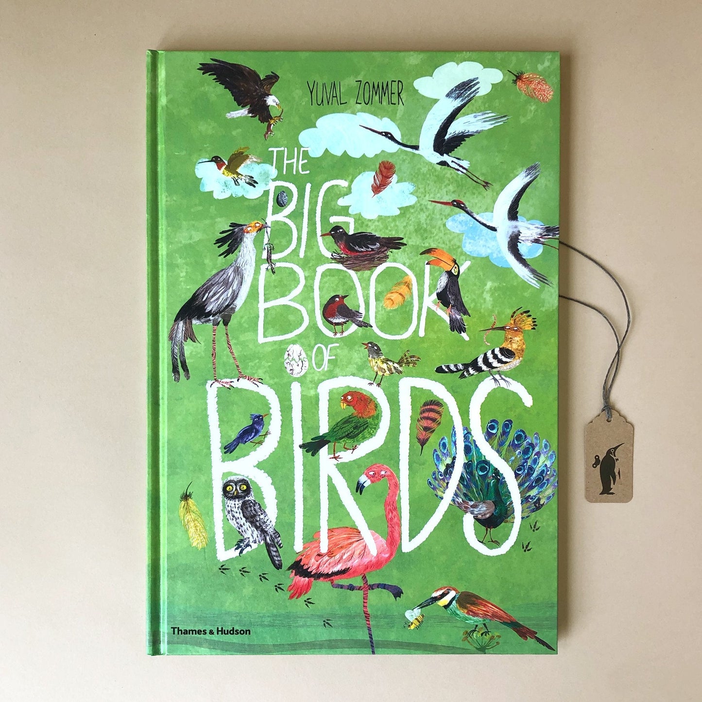 THE BIG BOOK OF BIRDS