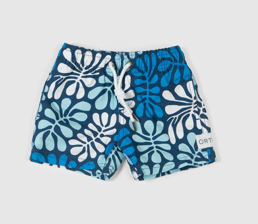 BLACK WATER ROCK HOLES SHORTS