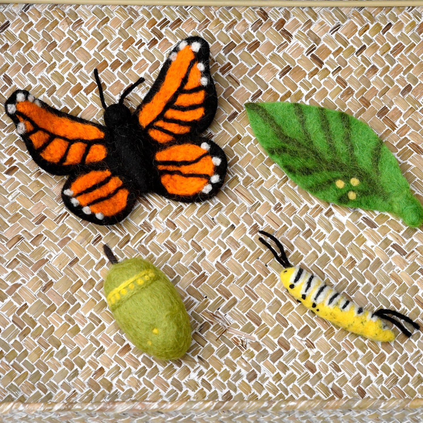 FELT LIFECYCLE OF MONARCH BUTTERFLY