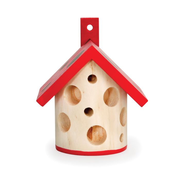 LADY BUG HOUSE