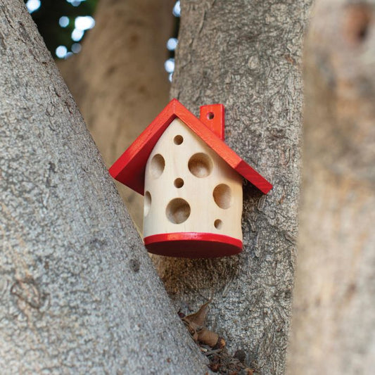 LADY BUG HOUSE