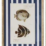 Aquatic Frame Glass Print