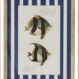 Aquatic Frame Glass Print