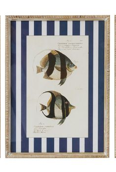 Aquatic Frame Glass Print