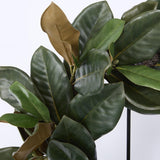 Luxe Magnolia Wreath 61cm