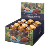 Wind Up Paddling Platypus