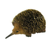 Christmas Echidna - Large