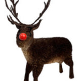 Rudolf Red Nose Reindeer - Large