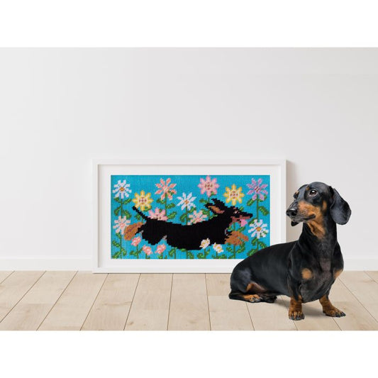 THE DOG COLLECTIVE HALF STITCH KIT - DACHSCHUND