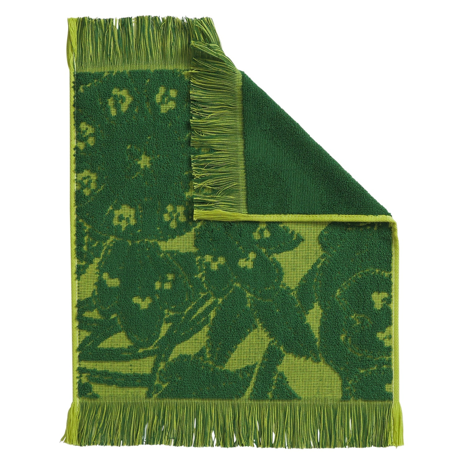 Slide image