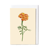 Card - Marigold