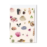 Card - Seashells
