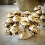 Shroom Ceramic Candle Holder