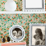 White Acrylic Scallop 5x7 Photo Frame